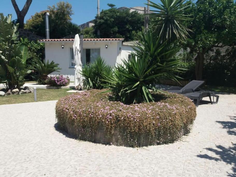 Casa Vacanza M&C Ischia Forio  Exterior photo