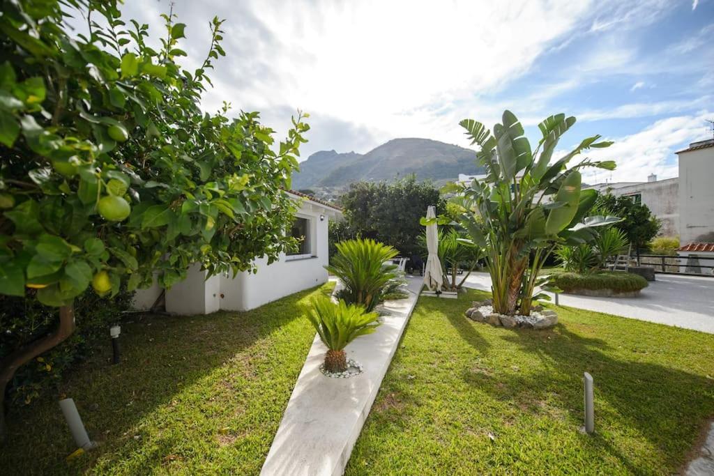 Casa Vacanza M&C Ischia Forio  Exterior photo